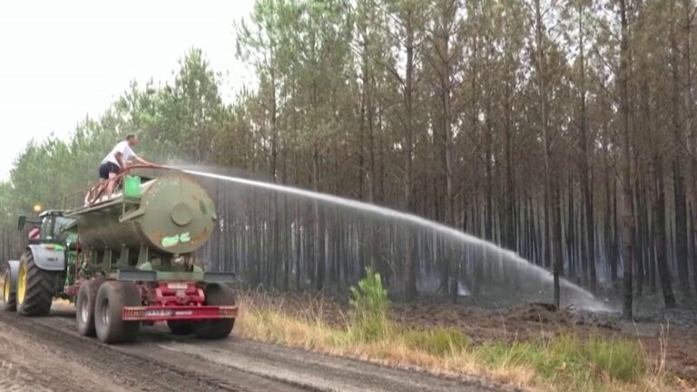 Disparition d’une forêt : les agriculteurs soutiennent les pompiers en France