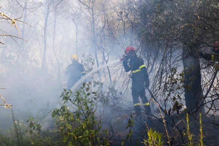 Incendies dans le Var : habitations touchées, la lutte contre le feu se poursuit.
