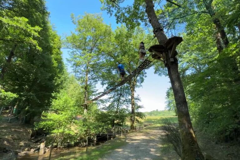 Parcours accrobranche et tyrolienne de 350 mètres : activités estivales en plein air.