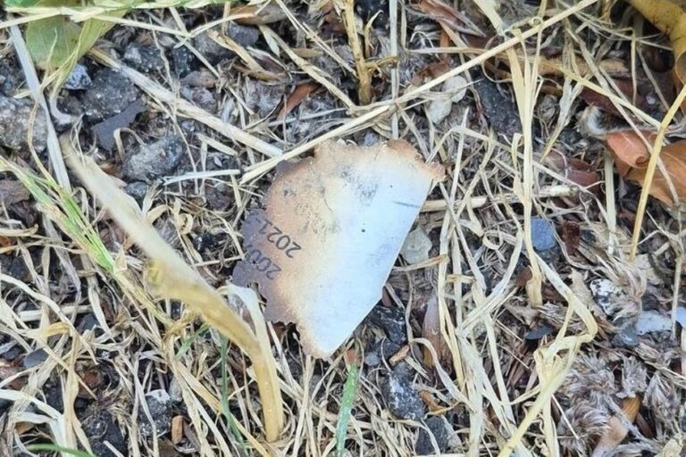 Un pyromane présumé recherché pour des incendies de forêts en Haute-Saône