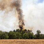 Incendies dans le Var : un nouveau suspect arrêté, trois personnes en détention.