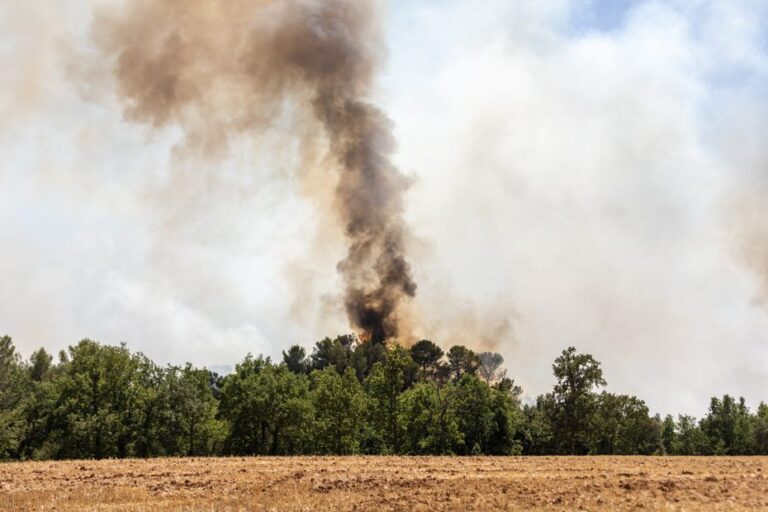 Incendies dans le Var : un nouveau suspect arrêté, trois personnes en détention.