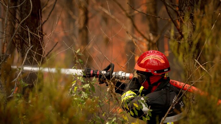 Un pompier des Deux-Sèvres décrit le combat de son équipe contre l’incendie en Gironde.