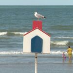 Vacanciers français choisissent des destinations côtières locales pour des séjours moins coûteux.
