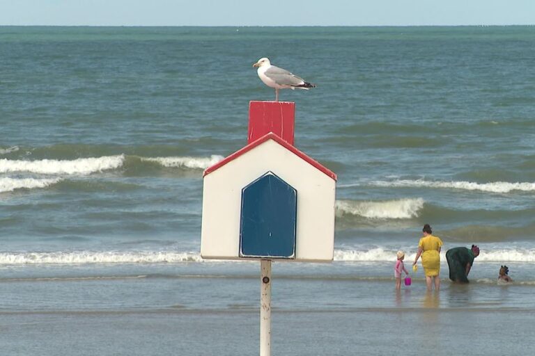 Vacanciers français choisissent des destinations côtières locales pour des séjours moins coûteux.