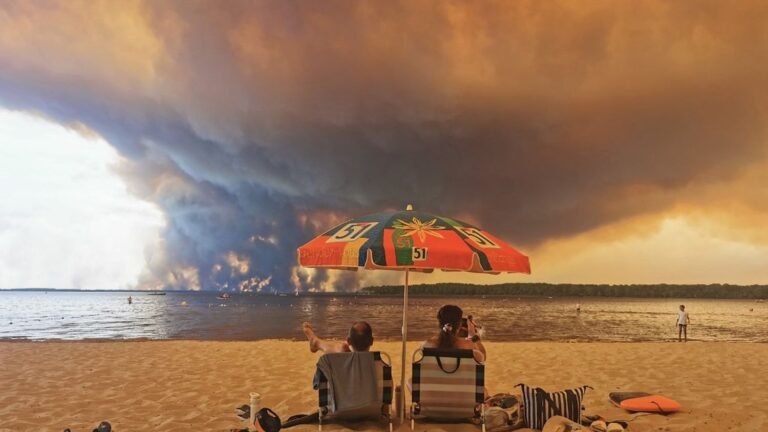 Incendies en Gironde : analyse des photographies qui illustrent la crise environnementale mondiale