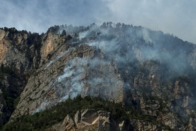 Incendie à Freissinières : colère des habitants face à la destruction de la forêt reboisée.
