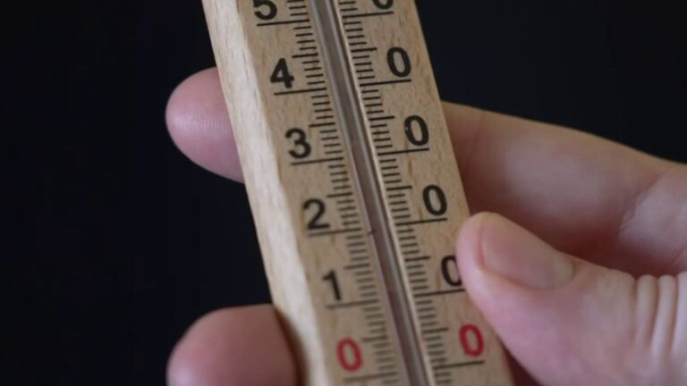Canicule : les conséquences sur la santé des populations vulnérables en France