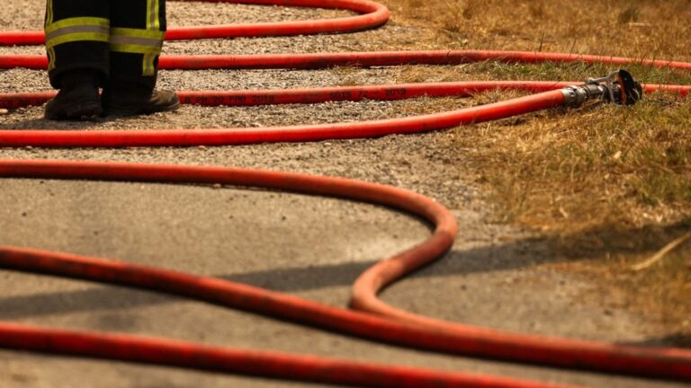 Incendie en Côte-d’Or : plus de 50 hectares de végétation brûlés près de Dijon.