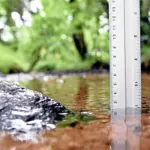 La planète entre en déficit écologique selon des experts environnementaux.