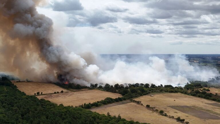 Incendie dans l’est de l’Angleterre : 100 hectares ravagés, 120 pompiers mobilisés et habitants évacués.