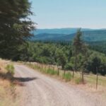 Randonnée sur le Chemin de Stevenson : parcours de 252 km dans les Cévennes.
