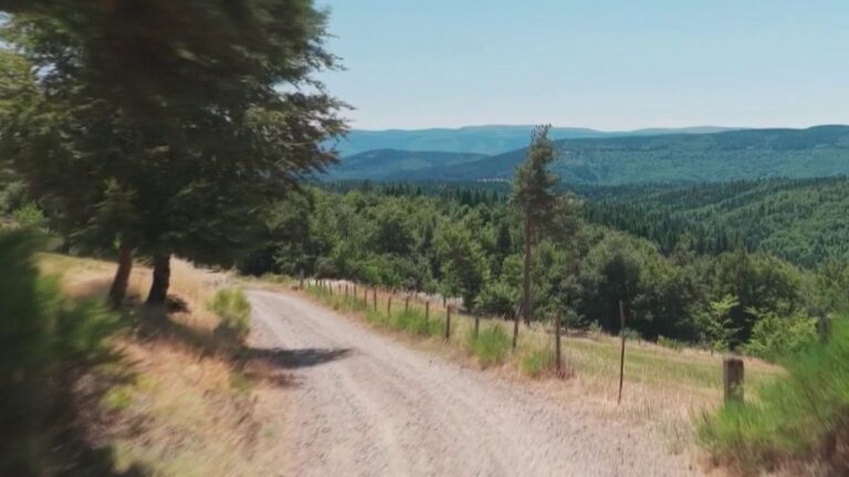 Randonnée sur le Chemin de Stevenson : parcours de 252 km dans les Cévennes.