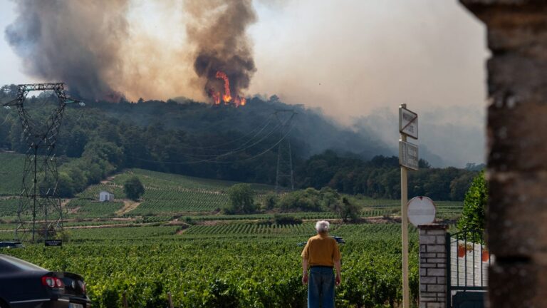 Feu de forêt près de Dijon maîtrisé, selon la préfecture de Côte d’Or.