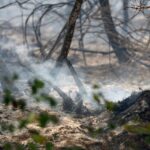 Incendie maîtrisé à Biscarrosse : les autorités surveillent la situation dans les Landes