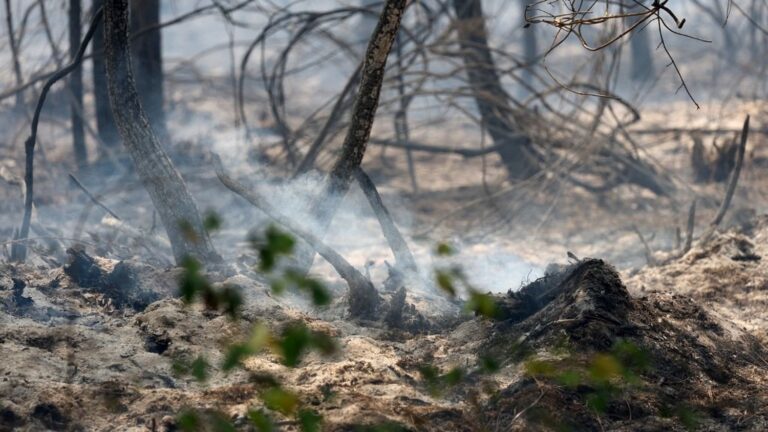 Incendie maîtrisé à Biscarrosse : les autorités surveillent la situation dans les Landes
