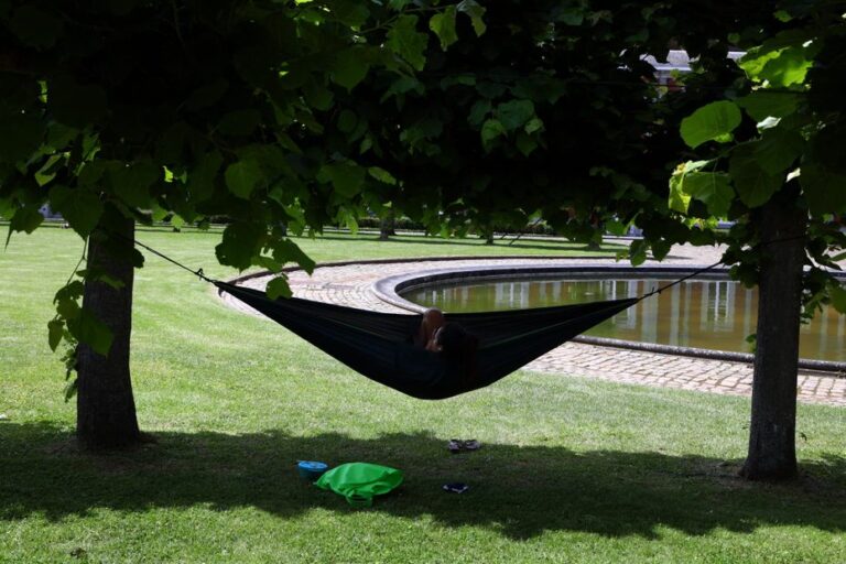 Un saisonnier de 21 ans meurt écrasé par un arbre dans un camping.