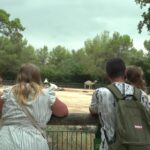 Fermeture du zoo de Montpellier : les visiteurs affluent pour le dernier jour avant les travaux.