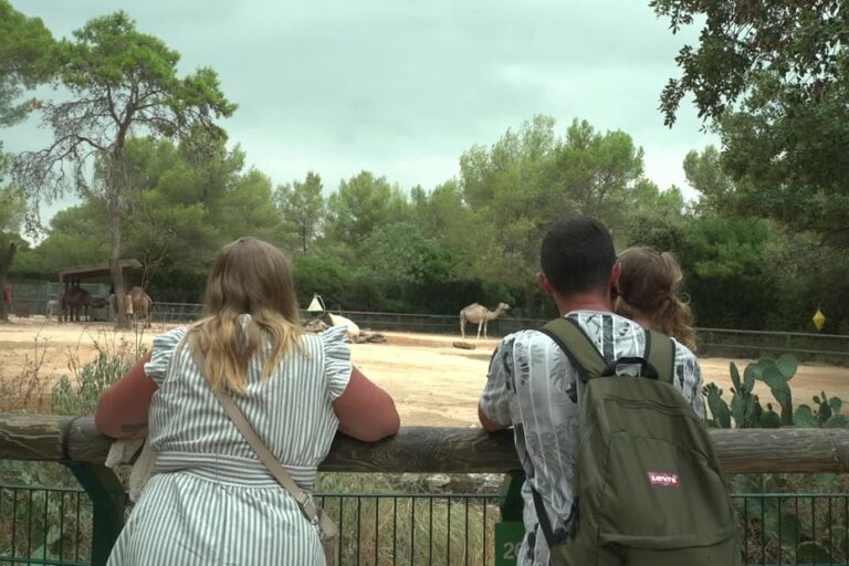 Fermeture du zoo de Montpellier : les visiteurs affluent pour le dernier jour avant les travaux.