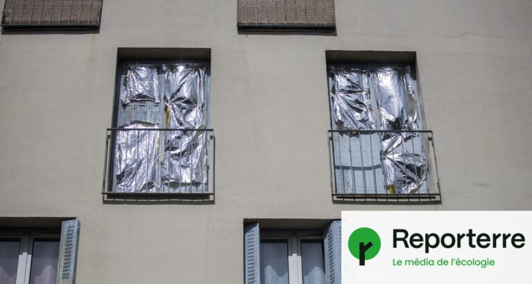 Couverture de survie et papier alu : efficacité contre la chaleur en milieu urbain.