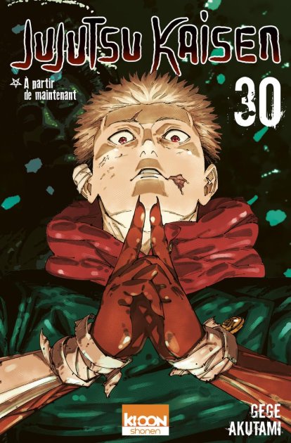 Jujutsu Kaisen T. 30 : Gege Akutami présente de nouveaux enjeux pour les personnages principaux