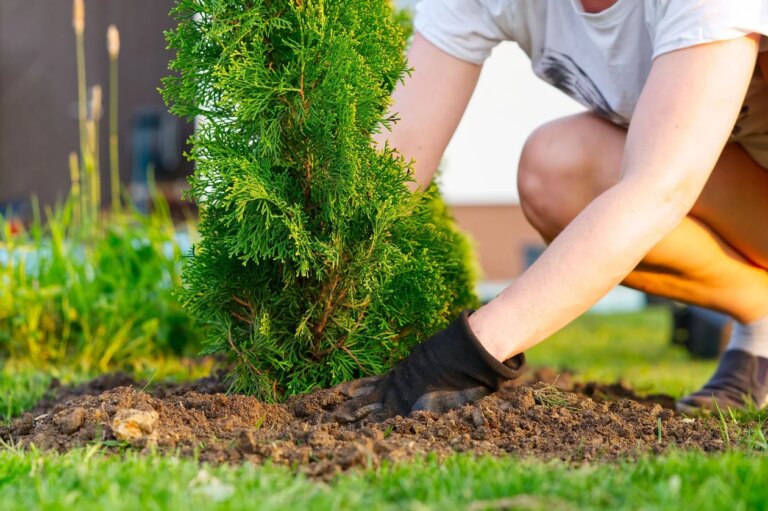 Incendie : les végétaux à éviter pour réduire les risques dans les jardins en France