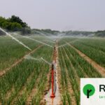 La Coordination rurale exhorte à désobéir aux restrictions d’arrosage en période de sécheresse.
