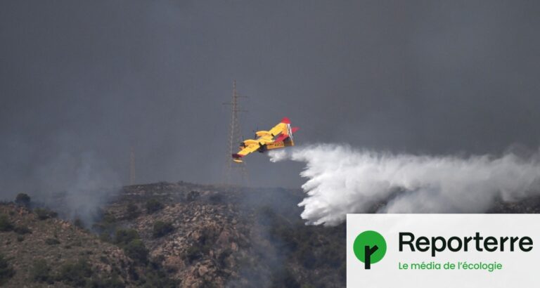 Feu de forêt en Espagne : 11 morts et 19 disparus suite à l’incendie ravageur.