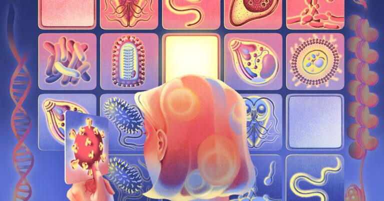 L’immunité humaine développe une mémoire face aux infections selon des chercheurs.