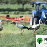 Protection de la nature : la loi de 50 ans jugée insuffisante par les experts environnementaux.