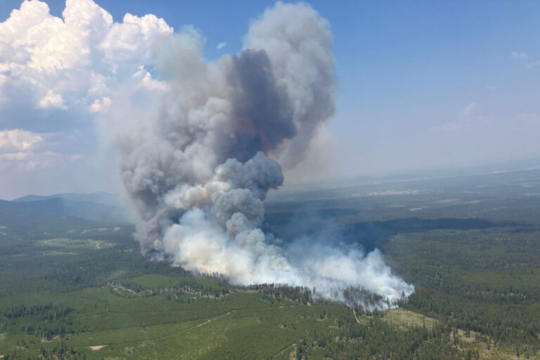 Près de 950 incendies actifs au Canada affectent la sécurité des régions touchées.