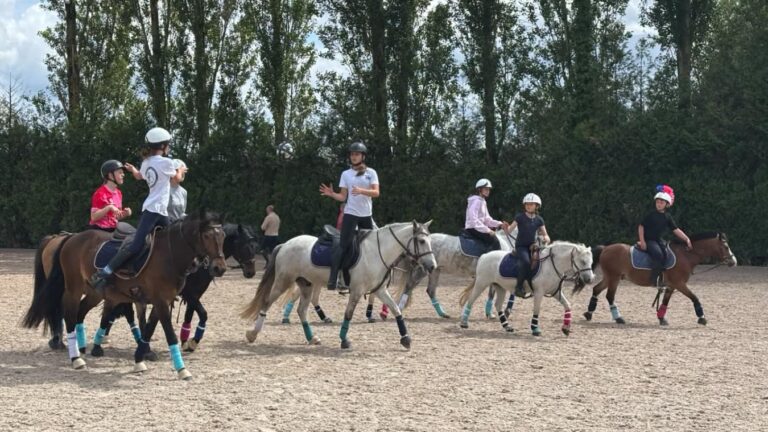 Haras des Lilas Blancs à Houplines : formation des jeunes talents du horse ball en France.