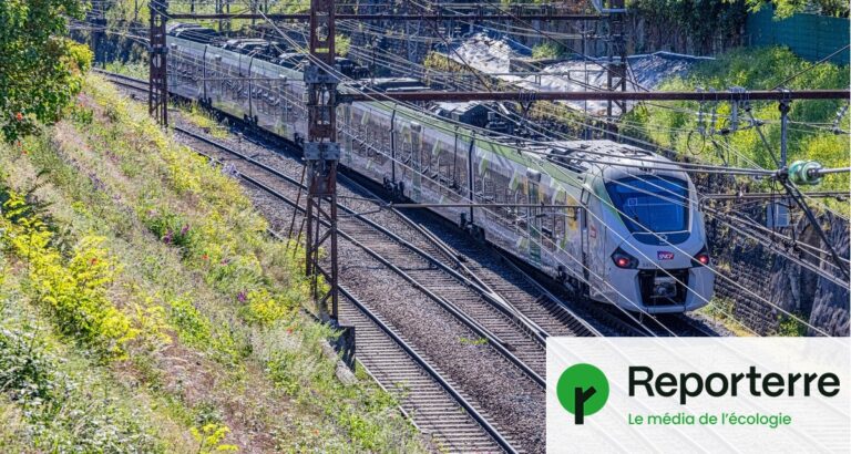 Retards de train en France : caténaires dilatées et voies déformées en période de canicule.