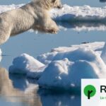 La fonte de la banquise arctique s’accélère après un léger ralentissement.