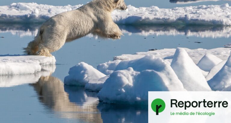 La fonte de la banquise arctique s’accélère après un léger ralentissement.