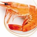 Rappel Consommateur – Détail Crevette sauvage cuite 40/60 pêchée en Océan indien Sans marque