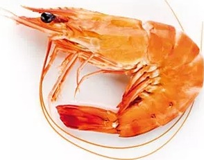 Rappel Consommateur – Détail Crevette sauvage cuite 40/60 pêchée en Océan indien Sans marque
