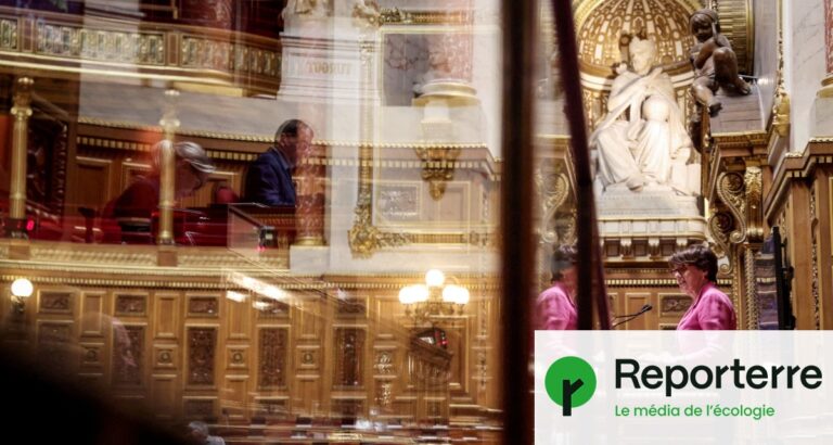 Contestation du retour de l’acétamipride devant le Conseil Constitutionnel français