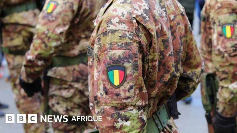 Anéfis au Mali : convoitise des FAMas et de l’alliance JNIM-FLA pour le contrôle stratégique