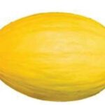 Rappel Consommateur – Détail MELON JAUNE Sans marque