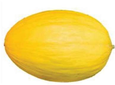 Rappel Consommateur – Détail MELON JAUNE Sans marque
