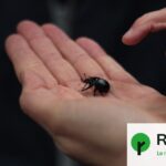 La rigueur budgétaire menace la biodiversité des écosystèmes marins en France