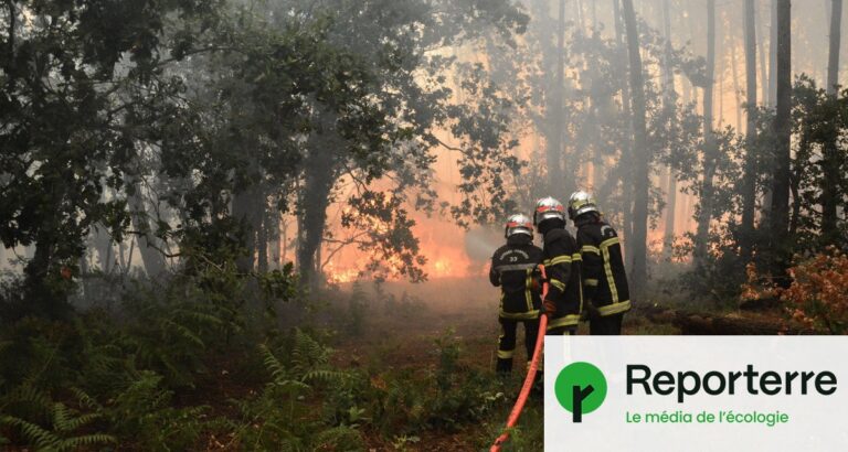 Incendie en Gironde : évacuation du cap Ferret et destruction de milliers d’hectares.