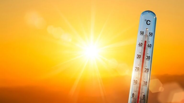 Canicule : les maires français prennent des mesures pour protéger la population