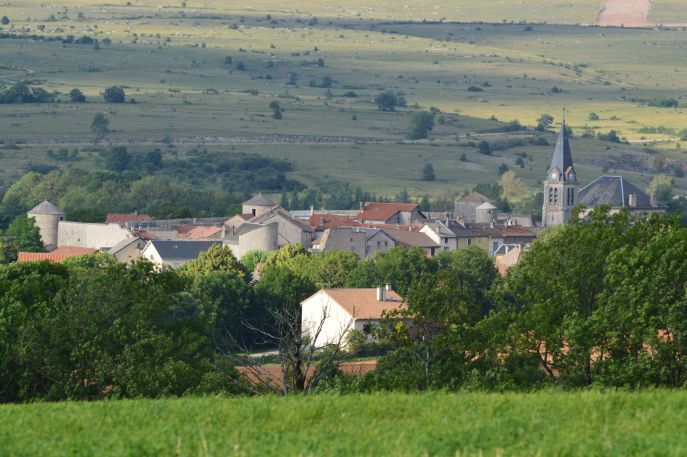 Revitalisation du commerce rural : leviers d’action pour les maires en France