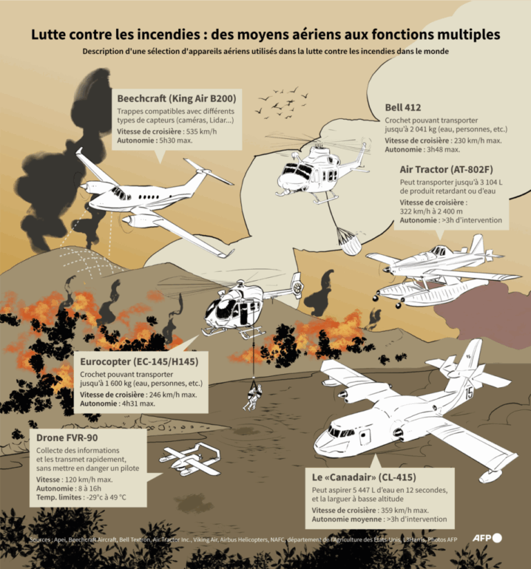 Pyromanes et incendiaires : étude sur les causes des feux de forêt en France