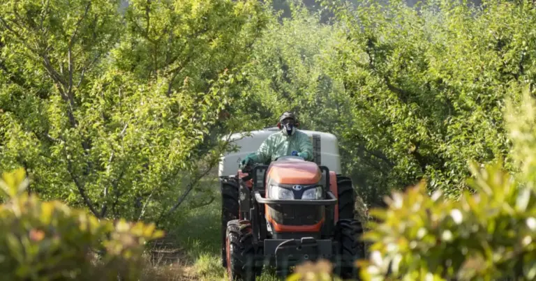 Pesticides et élevage : trois lois agricoles remettent en question le droit de l’environnement