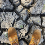 El Niño pourrait coûter jusqu&rsquo;à 20 milliards de dollars à l&rsquo;Afrique, selon des experts.