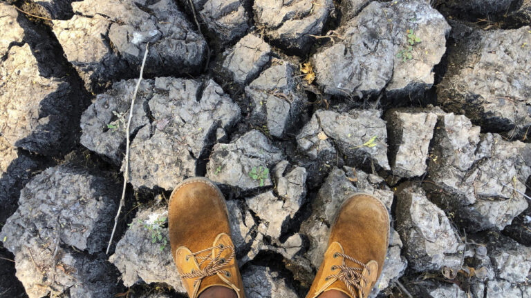 El Niño pourrait coûter jusqu’à 20 milliards de dollars à l’Afrique, selon des experts.