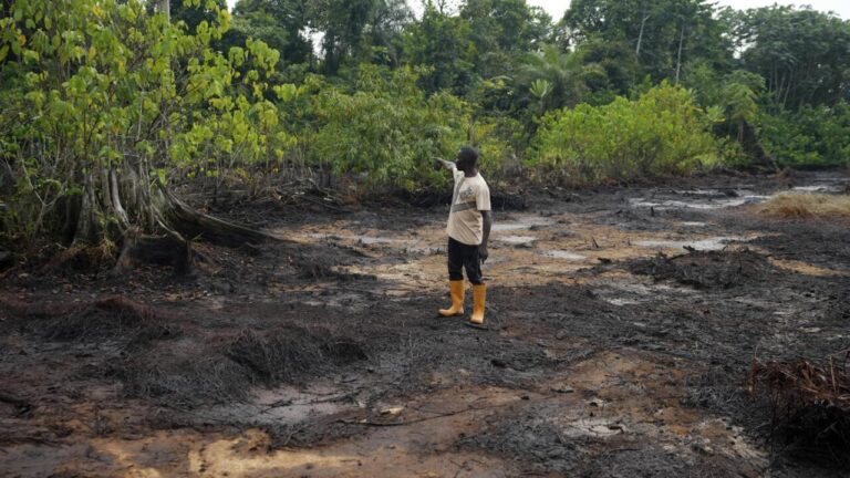 Nigeria : la justice rejette la plainte d’un monarque contre Shell pour pollution.